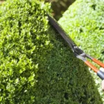 landscaper in droitwich spa